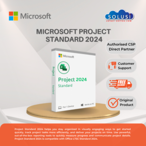 Microsoft Project Standard 2024