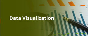Data Visualization